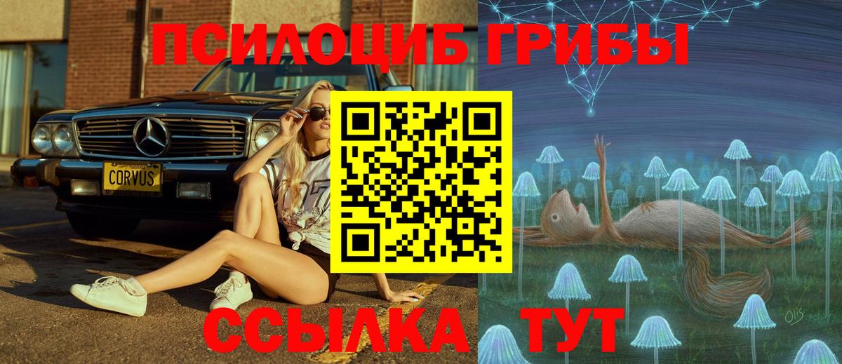 Боровичи  Галлюциногенные грибы ЛСД  как найти закладки  Галлюциногенные грибы GOLDEN TEACHER  Вход с VPN 